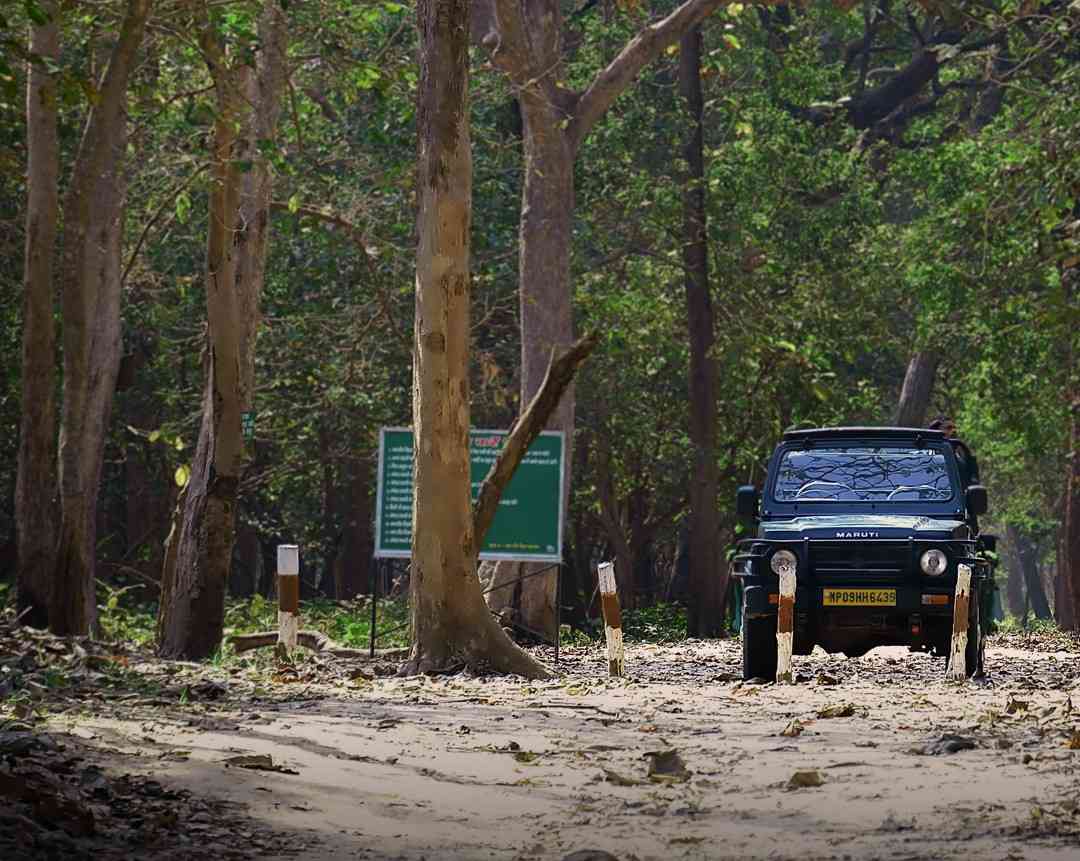 kanha jeep safari