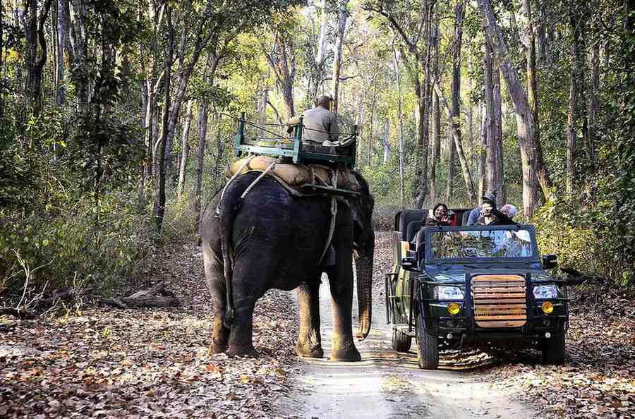 kanha elephant tour